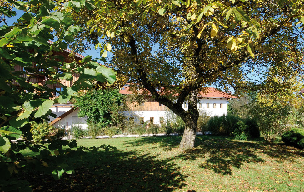 Holzmannstett